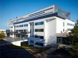 Gepardi v keři, 42x30cm, litografie, 1998